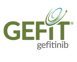 GEFIT